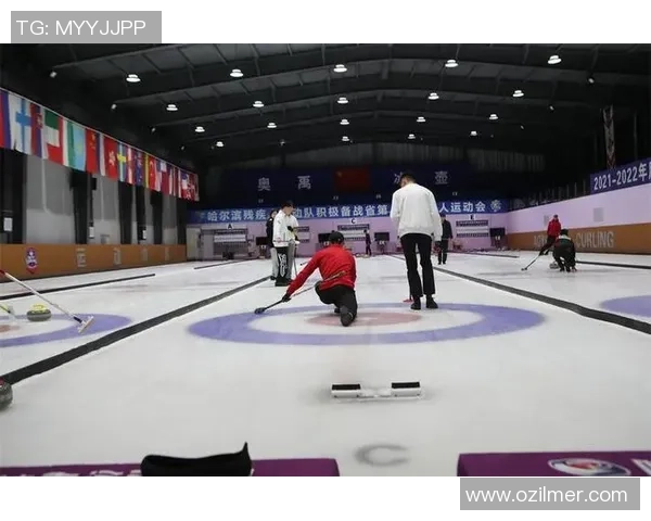 冬奥会冰壶项目中冰道控制技术与战术协同应用研究